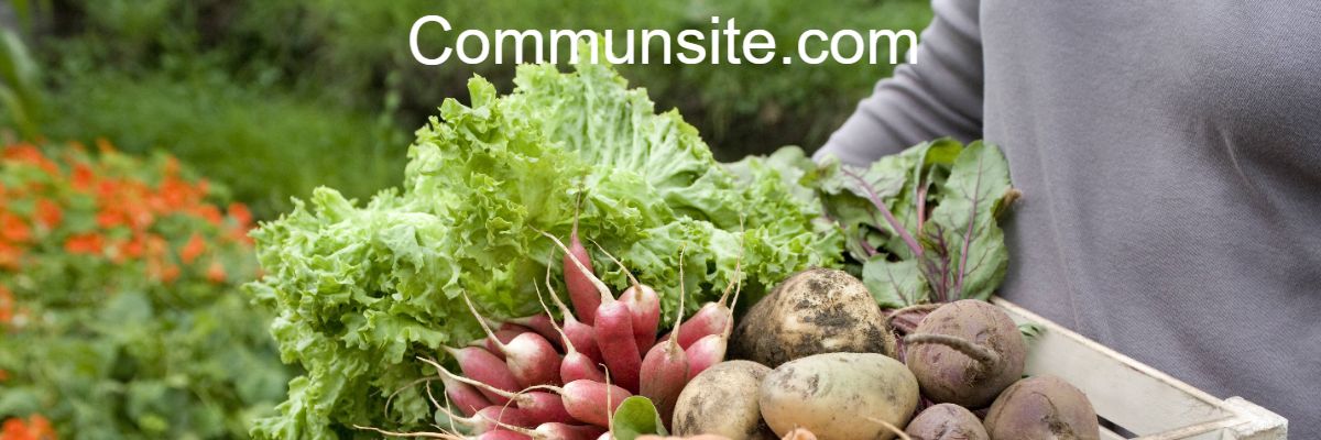 communsite.com